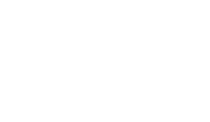 Gudmonson Service